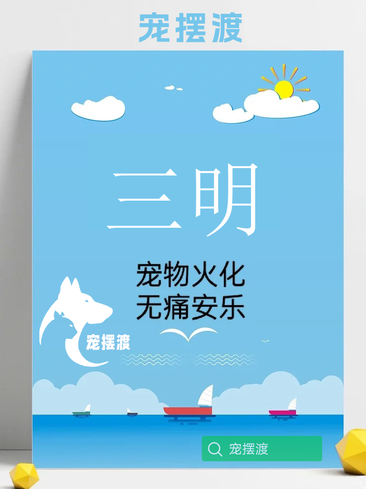 三明宠物火化：延续文化血脉的重要环节