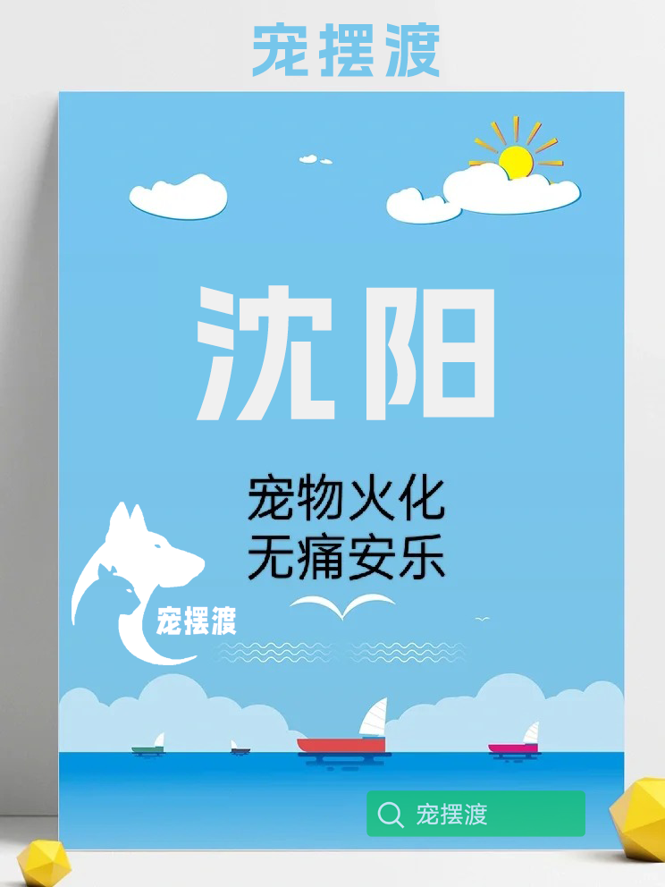 沈阳宠物殡葬：如何为宠物举办一个温馨的追悼会？