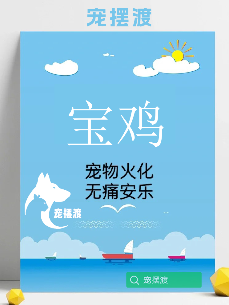 宝鸡遵守法律法规，开展合规的宠物殡葬服务