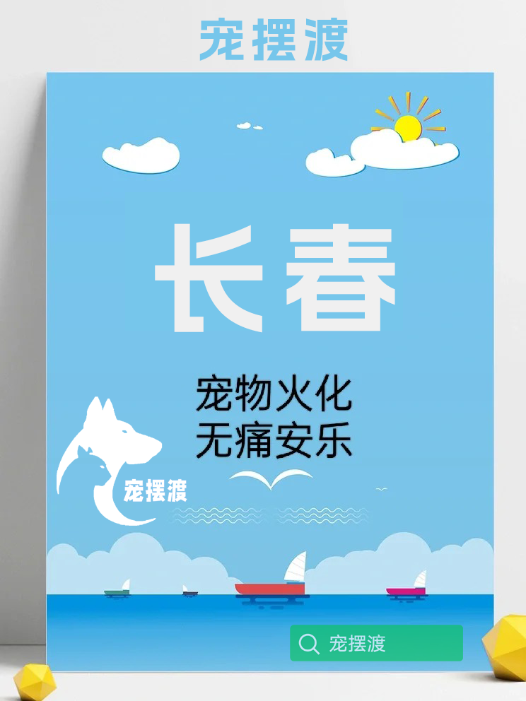长春宠物善后：如何将宠物的照片制作成纪念册？