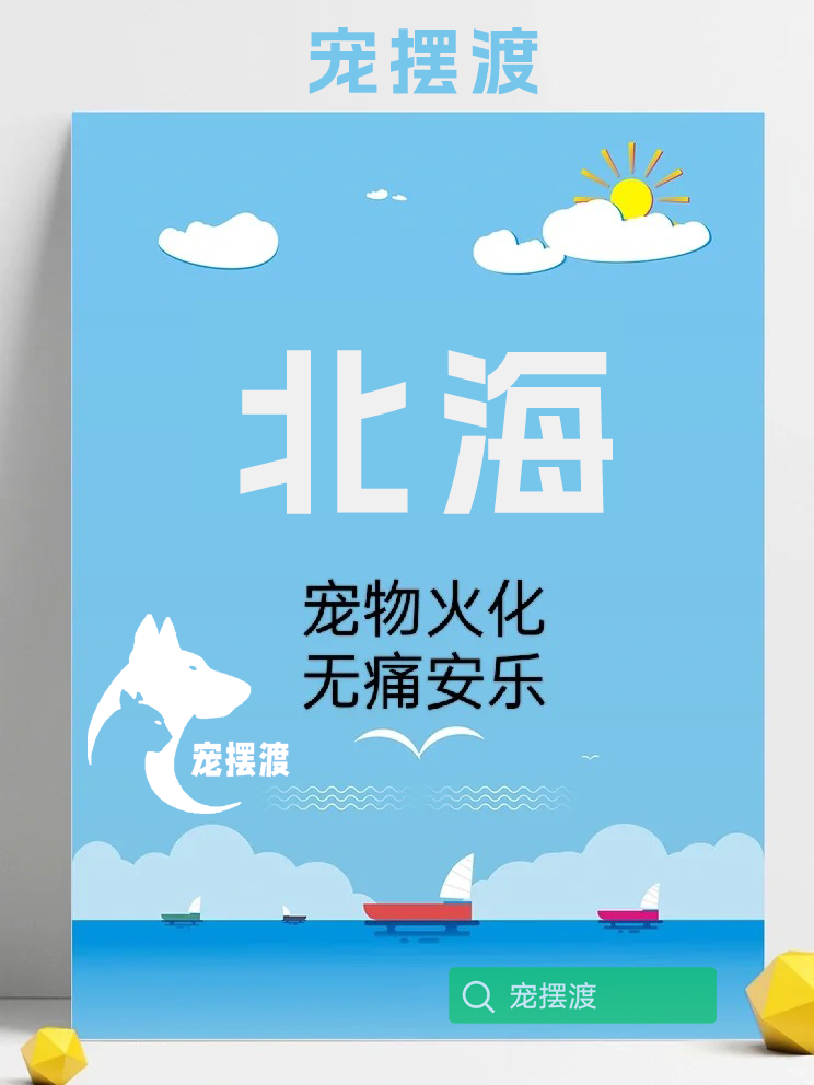北海宠物殡葬：把对爱宠的爱融入每一个细节