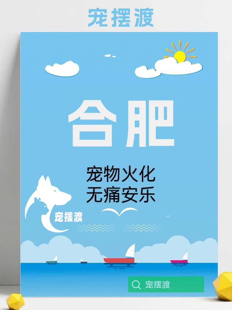 合肥宠物火化流程全解析，让主人安心