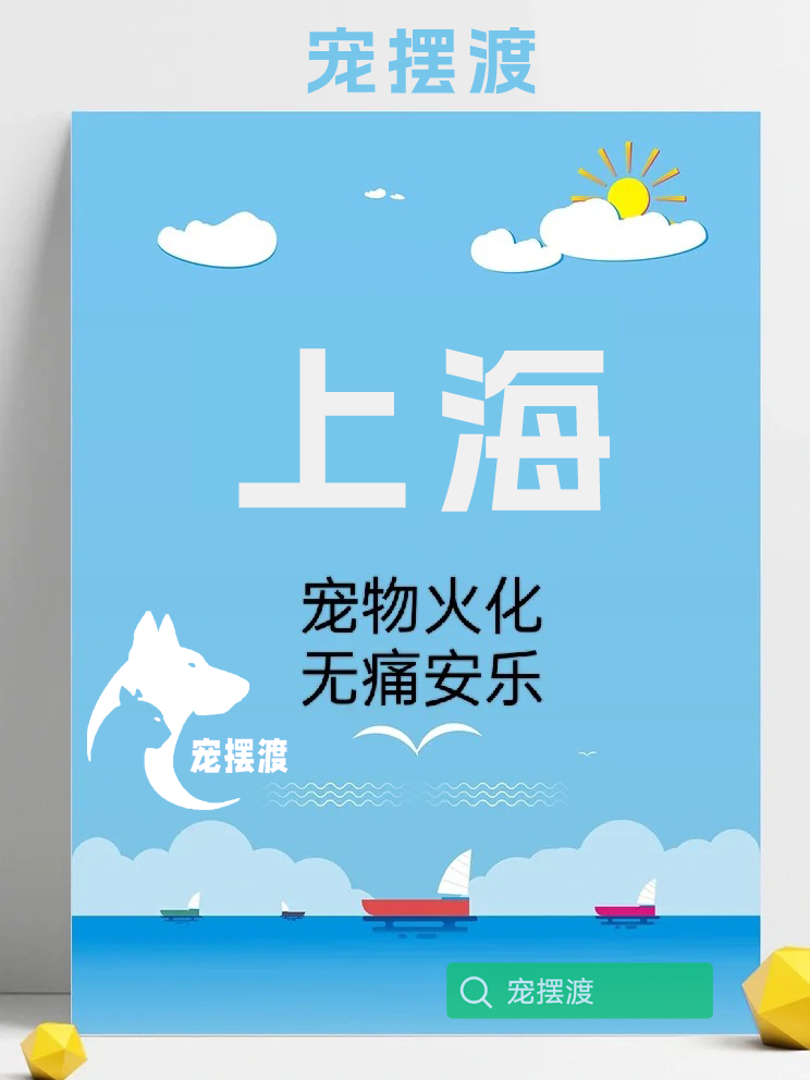 上海宠物火化：符合法律规定的实践要点