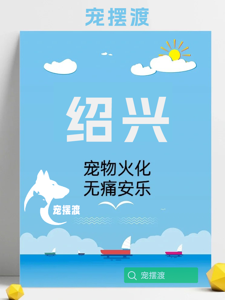 绍兴宠物善后：如何处理宠物的遗像和遗物？