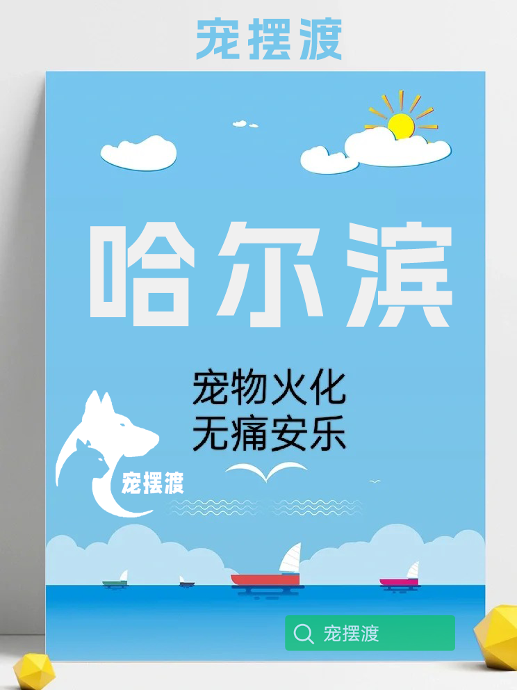哈尔滨宠物善后：如何与家人一起度过失去宠物的痛苦？