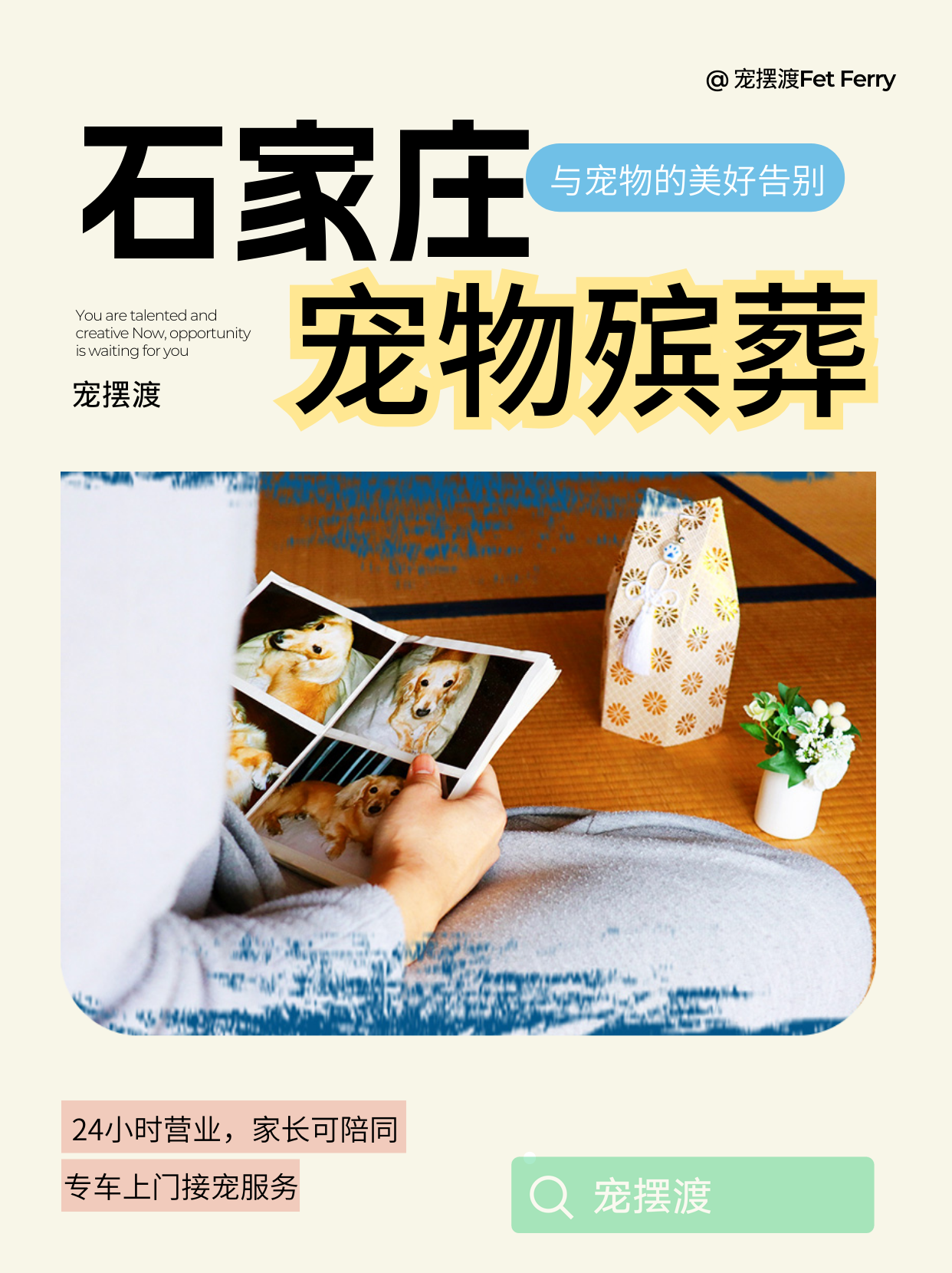 石家庄安静又整洁的宠物火化流程分享