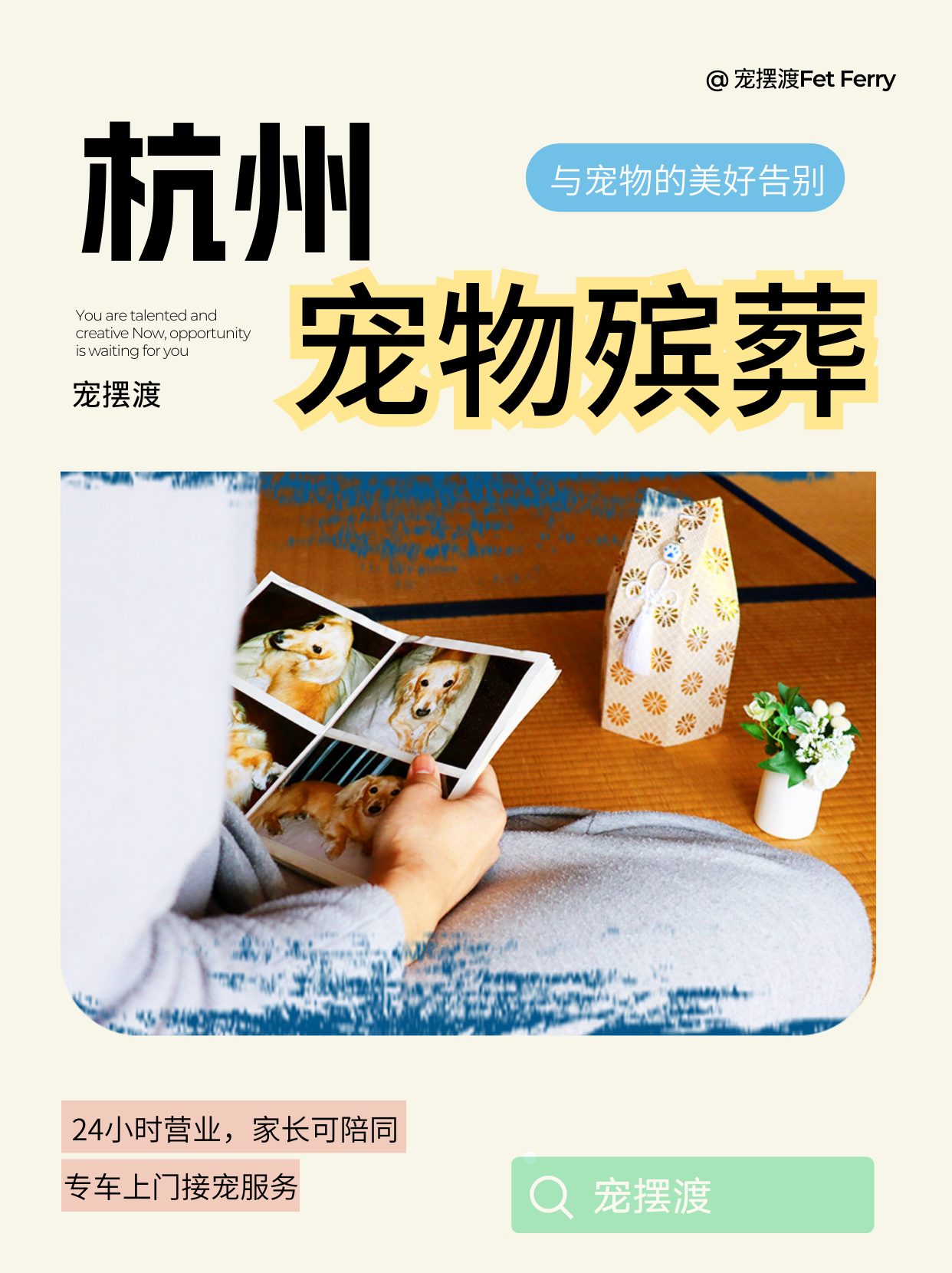 杭州宠物去世，如何妥善处理它的“一切”？